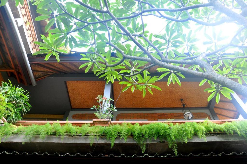 Candra Asri Bungalow Ubud Zewnętrze zdjęcie