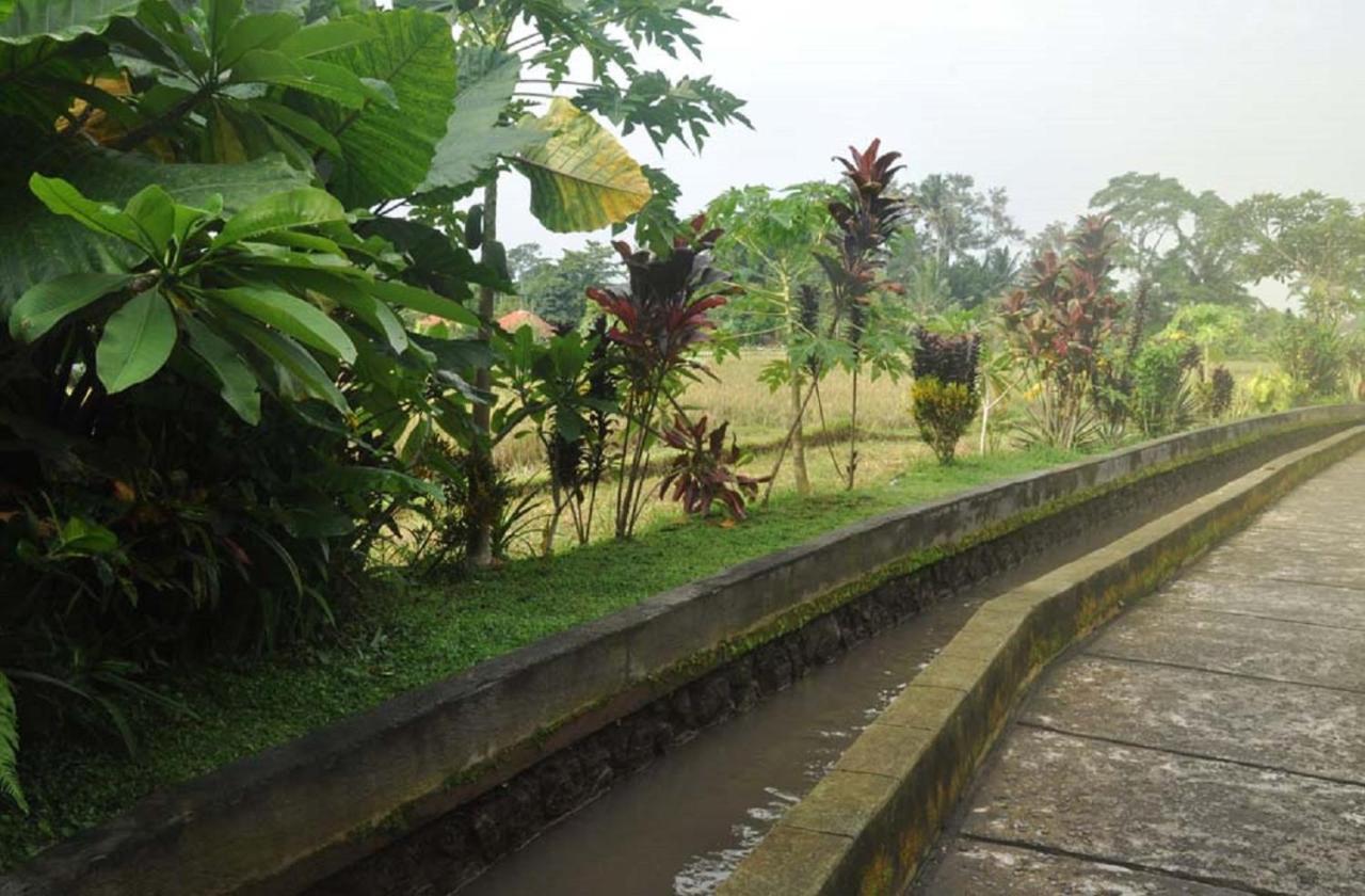 Candra Asri Bungalow Ubud Zewnętrze zdjęcie