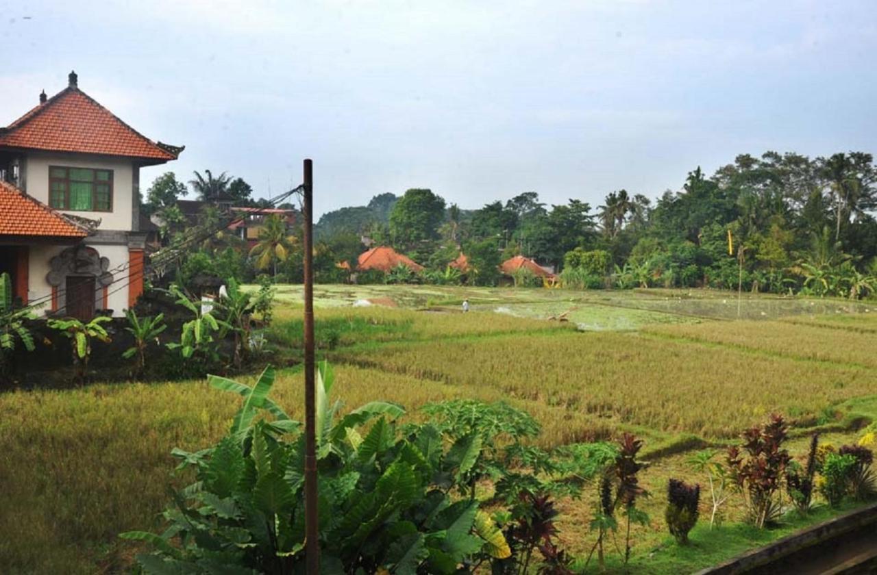 Candra Asri Bungalow Ubud Zewnętrze zdjęcie